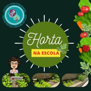 Horta na escola