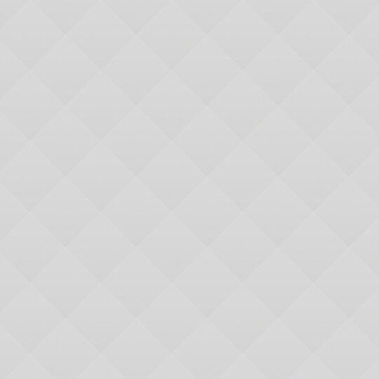 Bear with Evening Dress